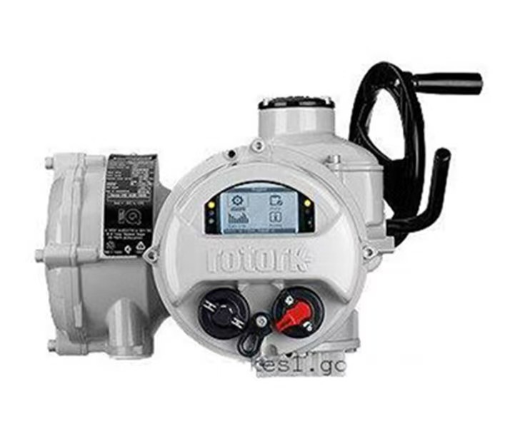 羅托克電動執(zhí)行器的閥桿沒有反應怎么辦